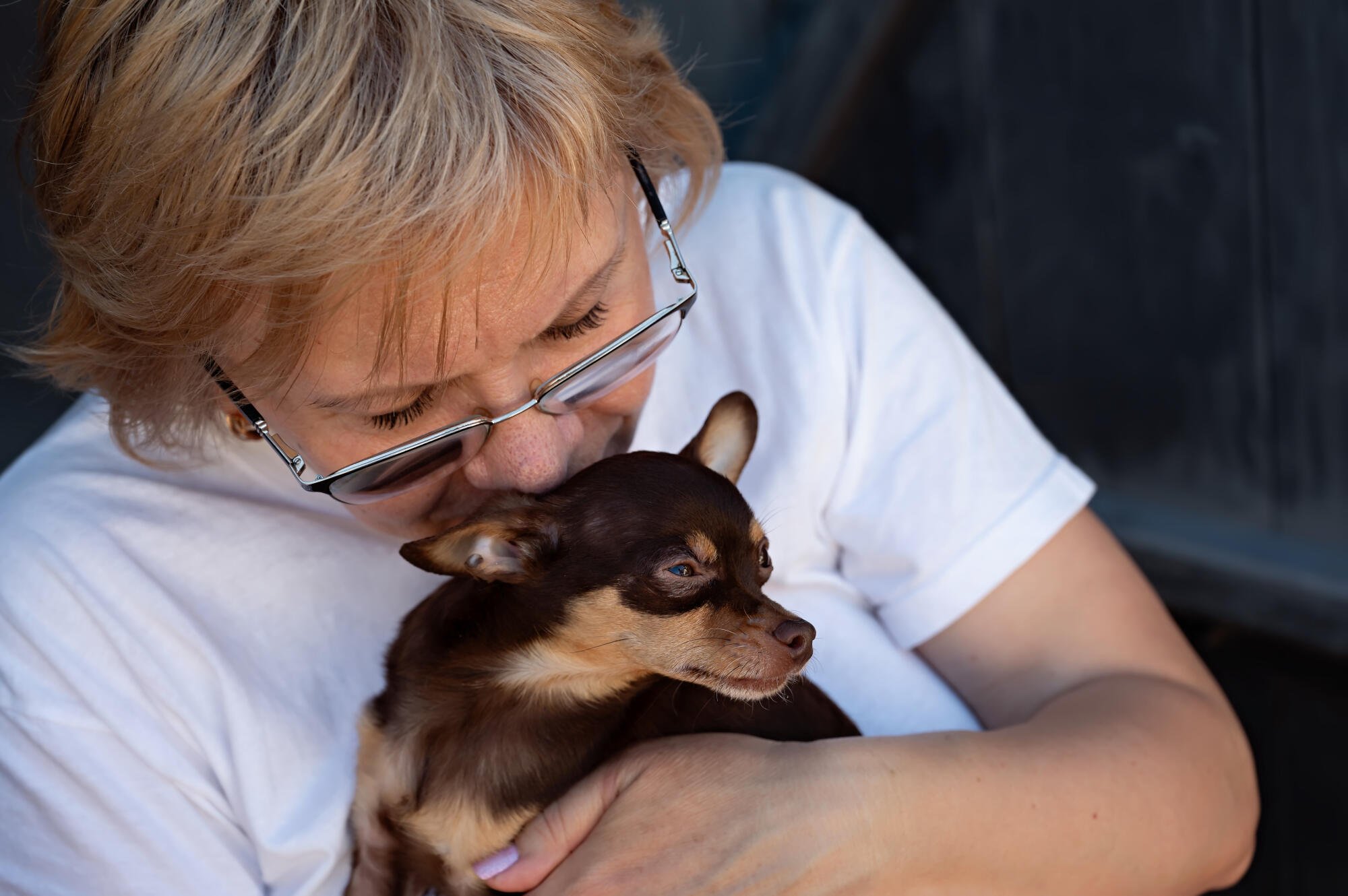 How to Volunteer at Animal Shelter After Retirement